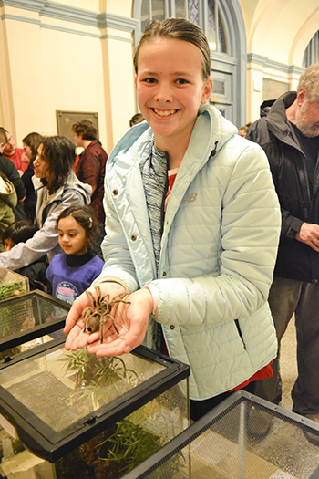 A brave student holds a tarantula at the petting zoo