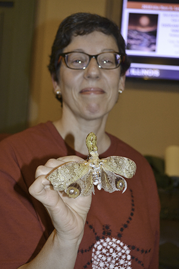 An Illinois Entomology alumna who returns every year for the Festival shows off a flashy moth from Nathan Schiff's collection