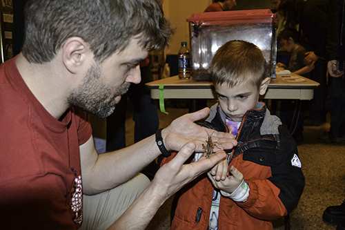 Youngster holds grassshopper at IFFF.