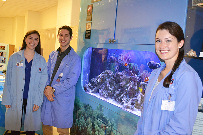 Kathleen Rafferty, Alec Colosi, and Chelsea Ciambrone, who are particularly intrigued by aquatic animals, exhibit the aquatic animals, including the angelfish, in the aquarium on the second floor of the Vet Med Basic Sciences Building.
