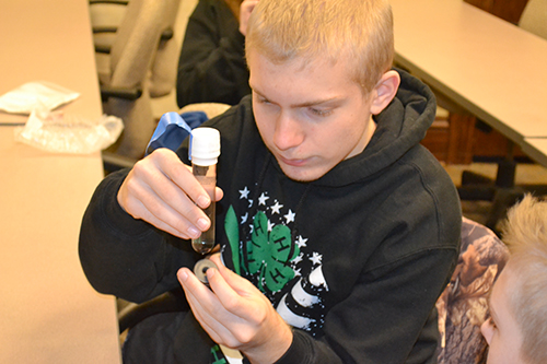 A student uses a magnet to make the iron ferite shavings move around.