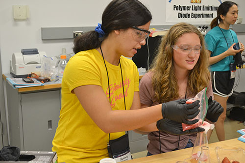 Sydney Hemenway (left) and a partner extract DNA from strawberries. (Image courtesy of Ryan Kim.)