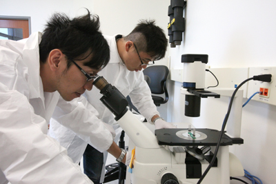 Two of the Taiwanese participants at work in an Illinois lab.