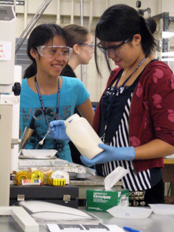 G.A.M.E.S. participants working in lab.