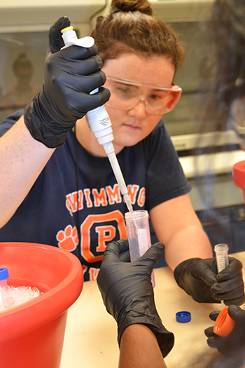A GLAM participant uses a pipette during the biomaterials session.