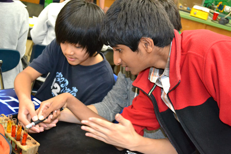 Jefferson Middle School students use laser to measure light penetration during hands-on activity.
