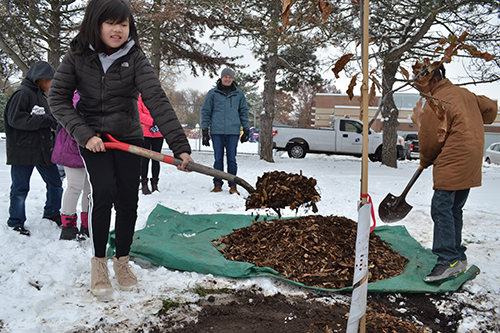 King students shovel mulch on the Shingle Oak tree planted next to the school in King Park as part of the Paper2Tree project.