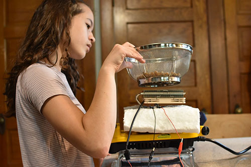 Lily Weaver uses Sun Buckets technology to dry food as part of her summer 2020 POETS Young Scholar research project.