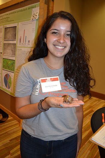 Alondra Estrada shows one of the 3D-printed turtles used in her research.