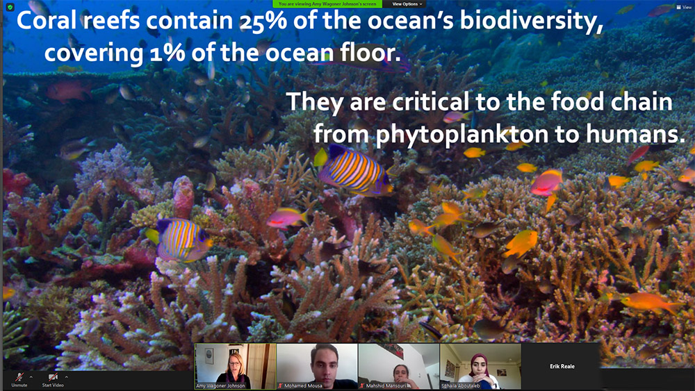 This slide Johnson presented during class is an example of the Assertion/Evidence style; the statements at the top are her assertion; the large image of a coral reef and the many sea creatures inhabiting it is her evidence. 