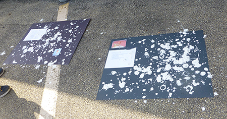image of some of the students' recent bird-poop paintings