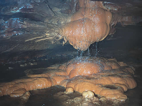 image of a stalactite from Illinois Caverns