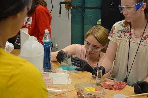GLAM campers extracting DNA from strawberries during the Biomaterials session.  (Image courtesy of I-STEM undergrad Ryan Kim.)
